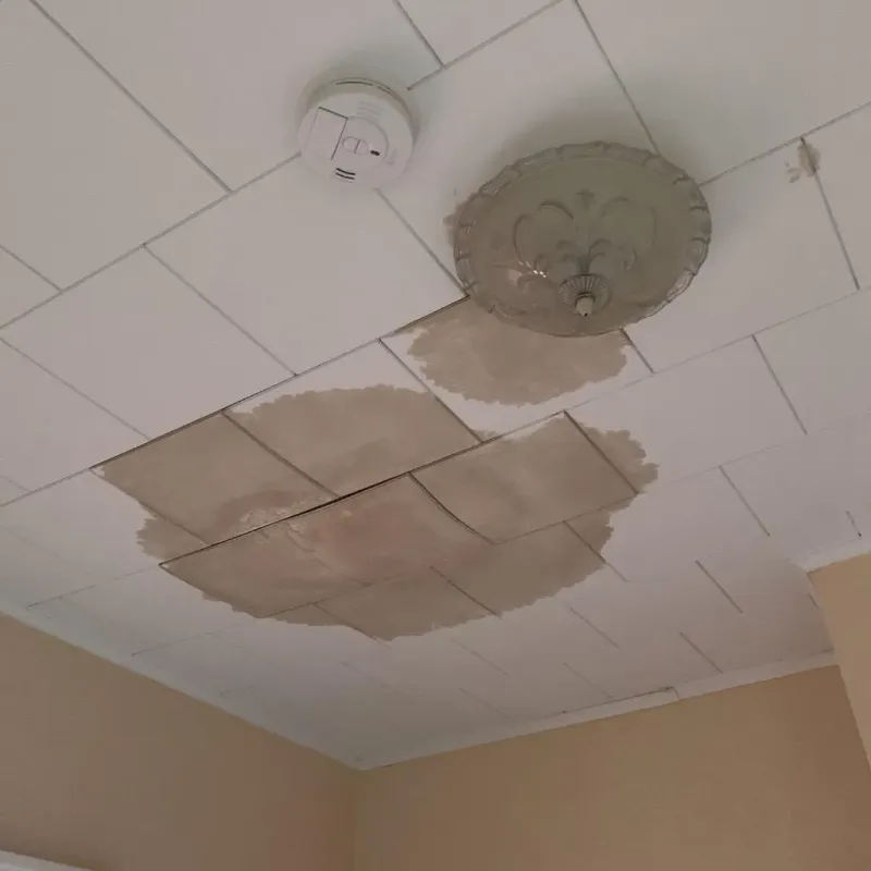 Ceiling Water Damage Repair in Lowry Crossing, TX
