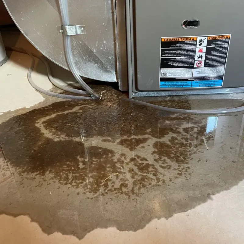 Pipe Burst and Leak Restoration in Lowry Crossing, TX