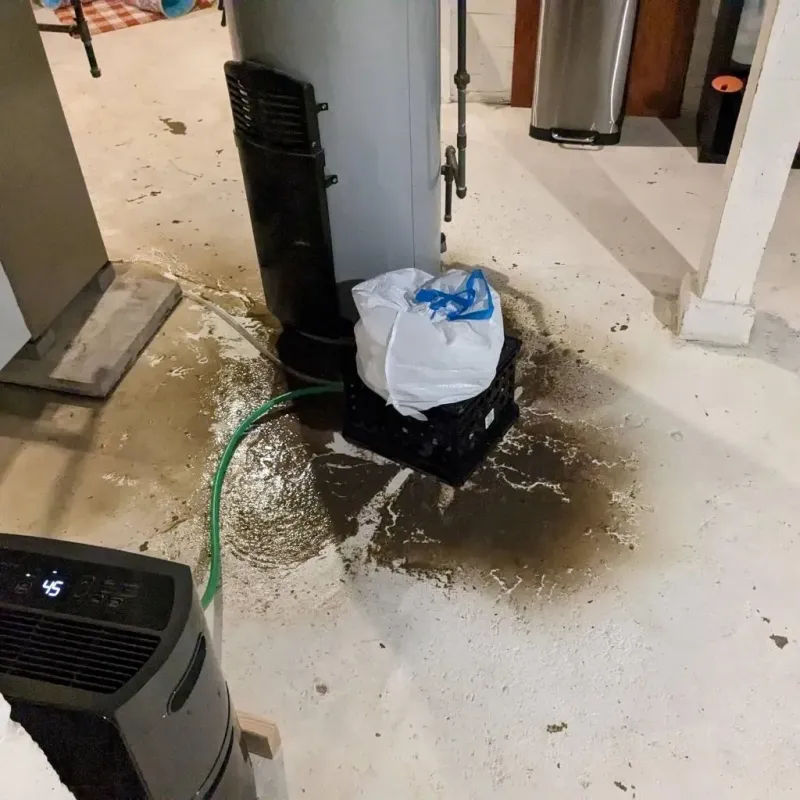 Sewage Backup Cleanup Service in Lowry Crossing, TX